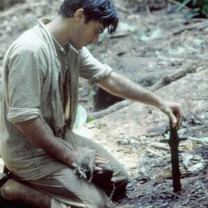 Leonardo Vieira em cena da primeira versão da novela 'Renascer', gravada em São Paulo; jequitibá-rei morreu após mais de 3.000 anos por causa de um raio