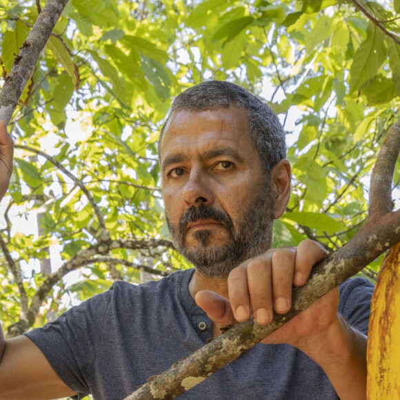 Marcos Palmeira puxa o elenco na fase adulta de José Inocênio na segunda versão da novela 'Renascer'