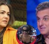 Luciano Huck 'ganhou tudo que ele tem hoje' por conta de Tiazinha, diz Suzana Alves na TV