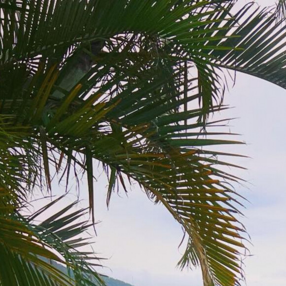 Jojo Todynho tem mostrado altos e baixos após bariátrica nas redes sociais