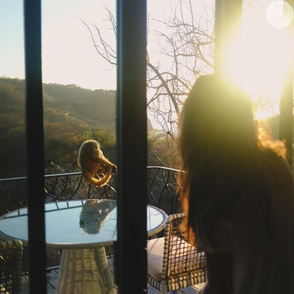 Depois, Nicolas Prattes publicou uma foto de Sabrina Sato observando um macaquinho em seu feed do Instagram
