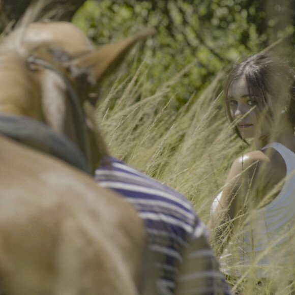 Em Renascer, Eliana (Sophie Charlotte) segura o cavalo, mas esconde vontade de ficar com Damião (Xamã)