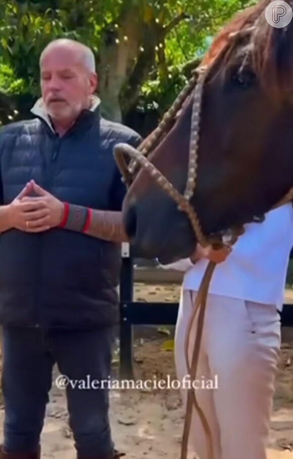 Diretor da TV Globo dá dois cavalos crioulos para Matteus, do 'BBB 24' começar a criação
