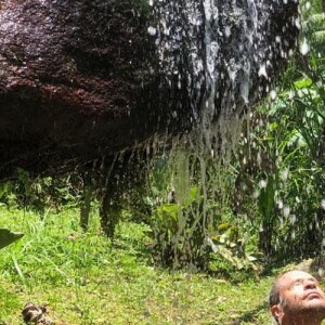 Diogo Nogueira nasceu no Rio de Janeiro e é taurino