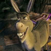 Boas notícias para os fãs de 'Shrek'! Novo filme da franquia que já arrecadou R$ 8 bilhões no cinema é confirmado - com direito a surpresa sobre o Burro