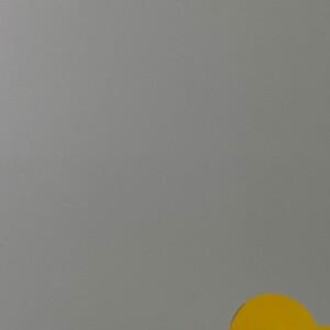 Neymar registrou Helena, sua terceira filha