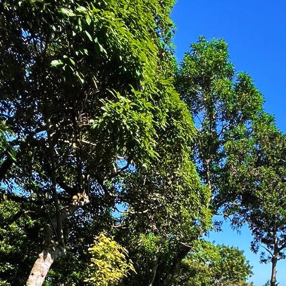 Danielle Winits publicou uma foto de biquíni nesta sexta-feira (02), tomando sol em uma sacada no Rio de Janeiro