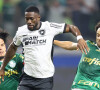 Botafogo eliminou o Palmeiras da Libertadores e foi eliminado da Copa do Brasil pelo Bahia; agora enfrenta o tricolor mais uma vez, às 16h do domingo 25 de agosto de 2024