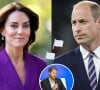 Kate Middleton está magoada e cobra uma posição de Príncipe William.