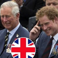 Príncipe Harry vive 'batalha sinistra' sem Rei Charles III para voltar ao Reino Unido; entenda nova polêmica!