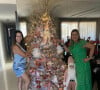 Árvore de Natal dos famosos: Se você também curte rosa e detalhes no prateado, vale se inspirar na Viviane Araújo e caprichar na produção.