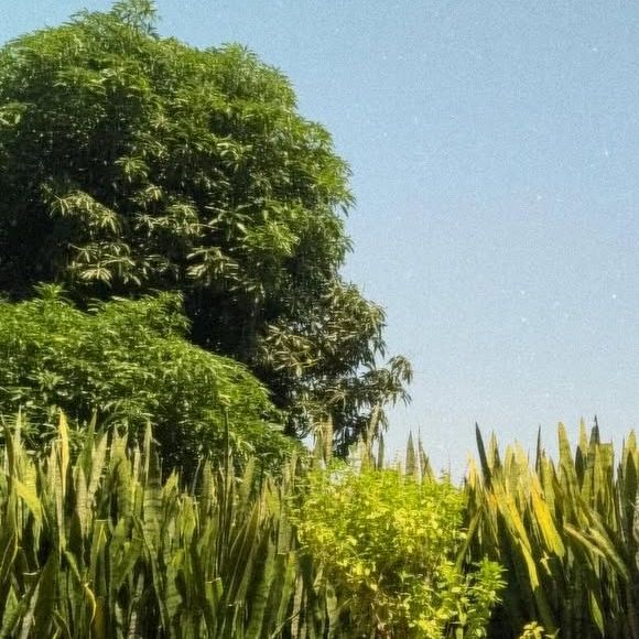 Atacada por internautas por estar mais magra, Carolina Dieckmann foi chamada de 'esquisita' por uma seguidora e não se calou