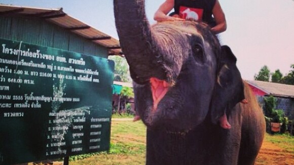 Bruno De Luca publica foto em cima de elefante em gravação do 'Vai Pra Onde'