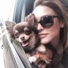 Isabelle Drummond já apresentou o seu cachorro no Instagram: 'Vida!'