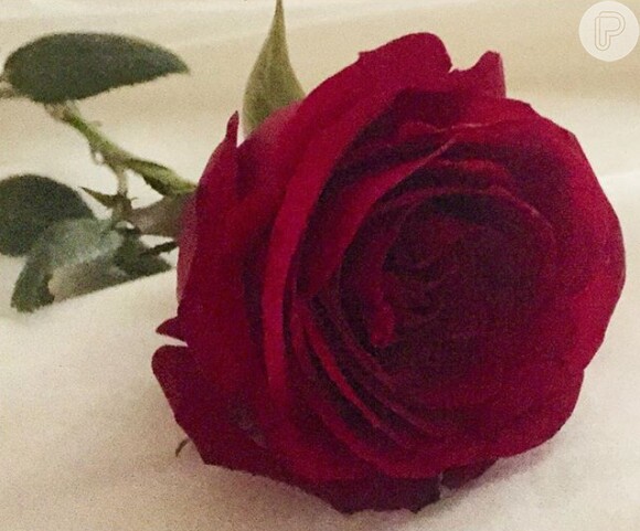 Recentemente, Giselle compartilhou a imagem de uma rosa vermelha em seu Instagram, com a legenda 'Gracias, Gabriel', aumentando os rumores do affair