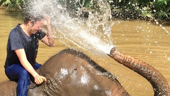 Fábio Porchat faz foto em cima de elefante na Tailândia. Veja fotos da viagem!