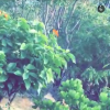 Bruna usou o Snapchat para publicar vídeos da vista do hotel onde está, no Caribe