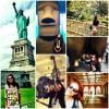 Nos Estados Unidos, Paloma postou fotos durante a viagem no início desta semana