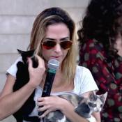 Tatá Werneck, dona de 12 gatos, adota mais cinco ao invadir o 'Encontro'