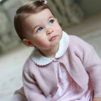 Princesa Charlotte tem hamster em casa. 'Adora os bigodes', diz Kate Middleton