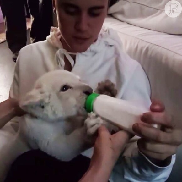 Justin Bieber alimentou um filhote de leão no bastidor de seu show em Toronto, no Canadá