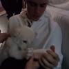 Justin Bieber mostrou que adora entrar em contato com os animais