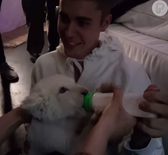 Justin Bieber conheceu um filhote de leão em Toronto, no Canadá