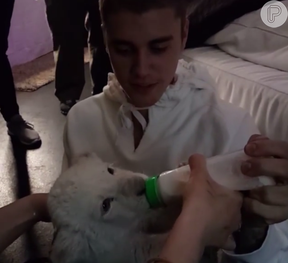 O leão foi trazido por Alex Haditataghi, que postou algumas fotos de Justin Bieber com o filhote