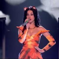 Katy Perry faz performance de 'Roar' no 'The X Factor' vestida de tigresa