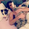 Fiuk se diverte com seus cachorros e compartilha o momento com seus fãs, por meio do Instagram