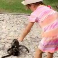Rafaella Justus alimenta macacos em viagem e é elogiada: 'Boazinha'. Vídeo!