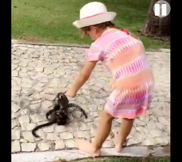 Rafaella Justus foi filmada pela mãe, Ticiane Pinheiro, alimentando macacos e ganhou elogios: 'Que fofa! Boazinha cuidando dos bichinhos'