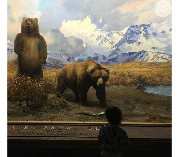 Alinne Moraes clicou o flho diante de um quadro com ursos no Museu Americano de História Natural