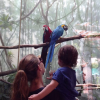 Alinne Morais visitiu o zoológico do Central Park com o fiho Pedro, de 2 anos