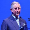 Príncipe Charles celebra 65 anos na Índia, em viagem de 9 dias com a mulher
