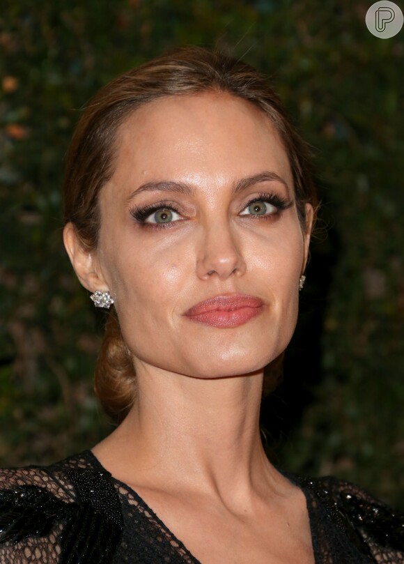Angelina Jolie compra ilha em formato de coração para Brad Pitt, em 25 de novembro de 2013