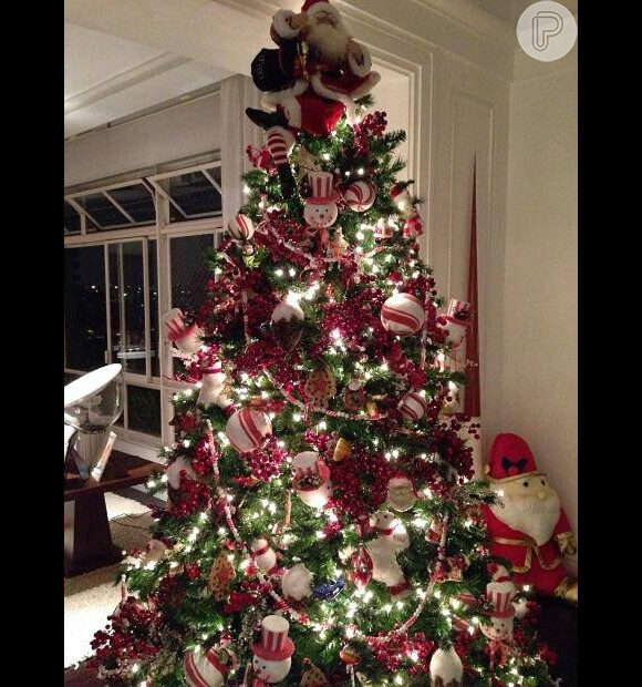 O cabeleireiro de Adriane Galisteu, Marco Antonio de Biaggi, exibiu a árvore de Natal da loira. 'Amei o Papai Noel no topo', aprovou uma internauta, em 13 de dezembro de 2013