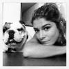 No quadro 'Cachorrada VIP', a atriz adestrou o seu cãozinho, o buldogue Chico