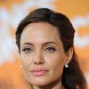 Engajada em diversos projetos sociais, Angelina Jolie recebeu uma medalha por seu desempenho na luta contra os estupros durante as guerras 