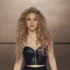Shakira vai cantar seu hit 'Dare (La La La)', na final da Copa do Mundo