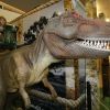 Adriane Galisteu e Vittório se divertiram na exposição 'O Mundo dos Dinossauros' na manhã desta quinta-feira, 14 de agosto de 2014. Juntos, mãe e filho se encantaram com as réplicas em tamanho real e também curtiram um cinema 7D