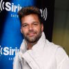 Ricky Martin anuncia turnê e novo CD antes de ser pai novamente