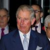 Príncipe Charles está emocionado e feliz com gravidez de William e Katy Middleton: 'Esplêndido'