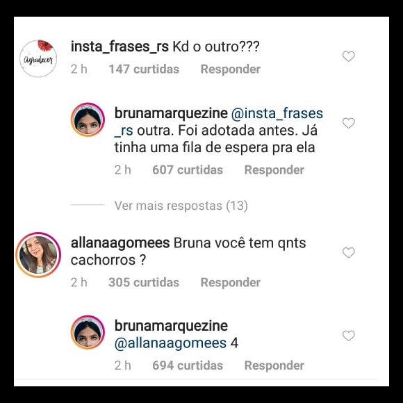 Buna Marquezine fala sobre adoção de pet durante viagem