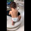 Wesley Safadão mostrou os filhos dançando 'Baby Shark' em vídeo no Instagram