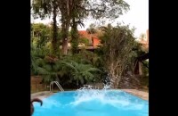 Felipe Titto exibe mordida de cão ao mergulhar em piscina