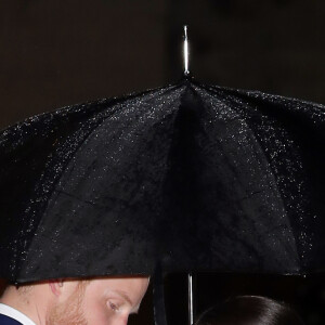 Meghan Markle e Príncipe Harry chegaram à premiação sob intensa chuva
