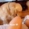 Yasmin Brunet brinca com cachorro de Gabriel Medina