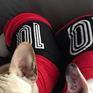 Pets de Sthefany Brito, London e Montalcino usam looks iguais em foto