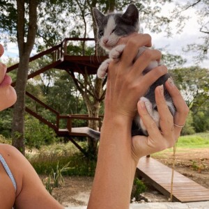 Bruna Marquezine e Enzo Celulari escolheram o nome 'Mia' para a filhote de gato